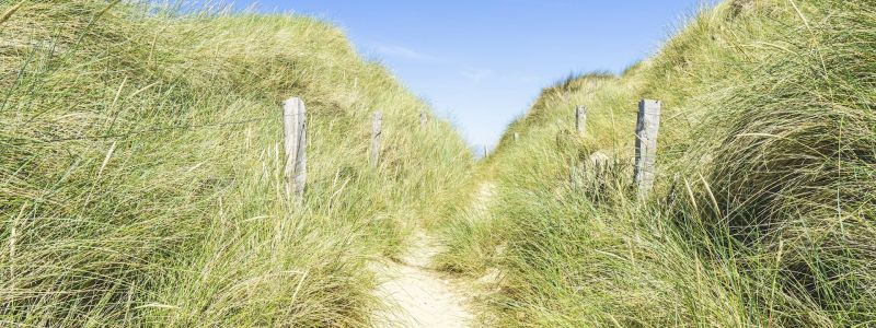 SY4CIUq0Kyg.jpg SY4CIUq0Kyg.jpg