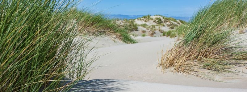 ZCdHqzjVCAA.jpg ZCdHqzjVCAA.jpg